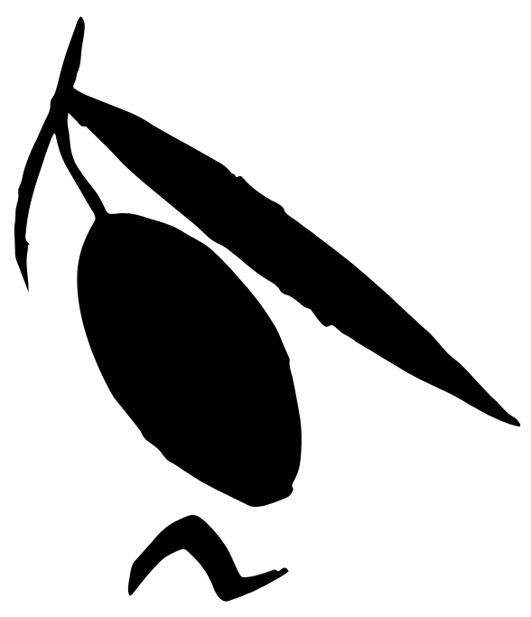 logo pierolea